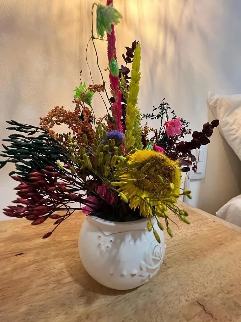 麦德林 Emporium Boutique Guadalupe Laureles酒店 酒店